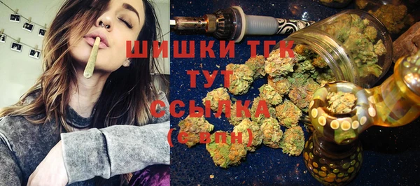 дживик Бронницы