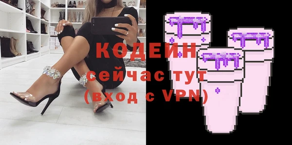 дживик Бронницы