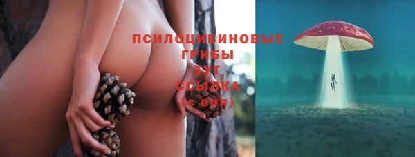 дживик Бронницы