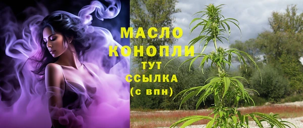 дживик Бронницы